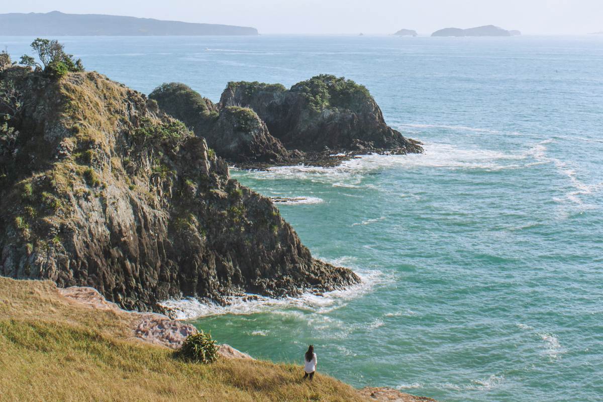 view of coromandel from top of the hill