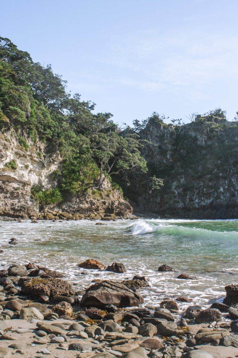 coromandel destinations at crayfish bay waves