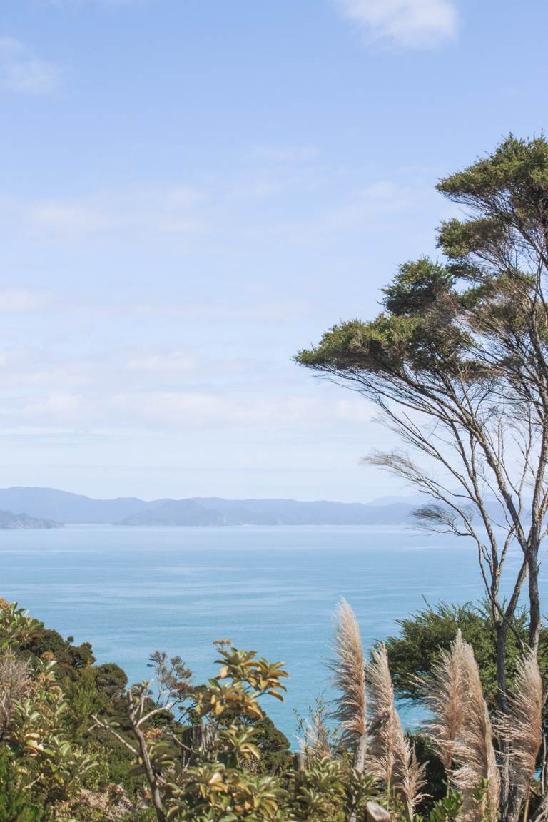 portrait view of why to travel Coromandel New Zealand from Black Jack Road heading to Opito Bay