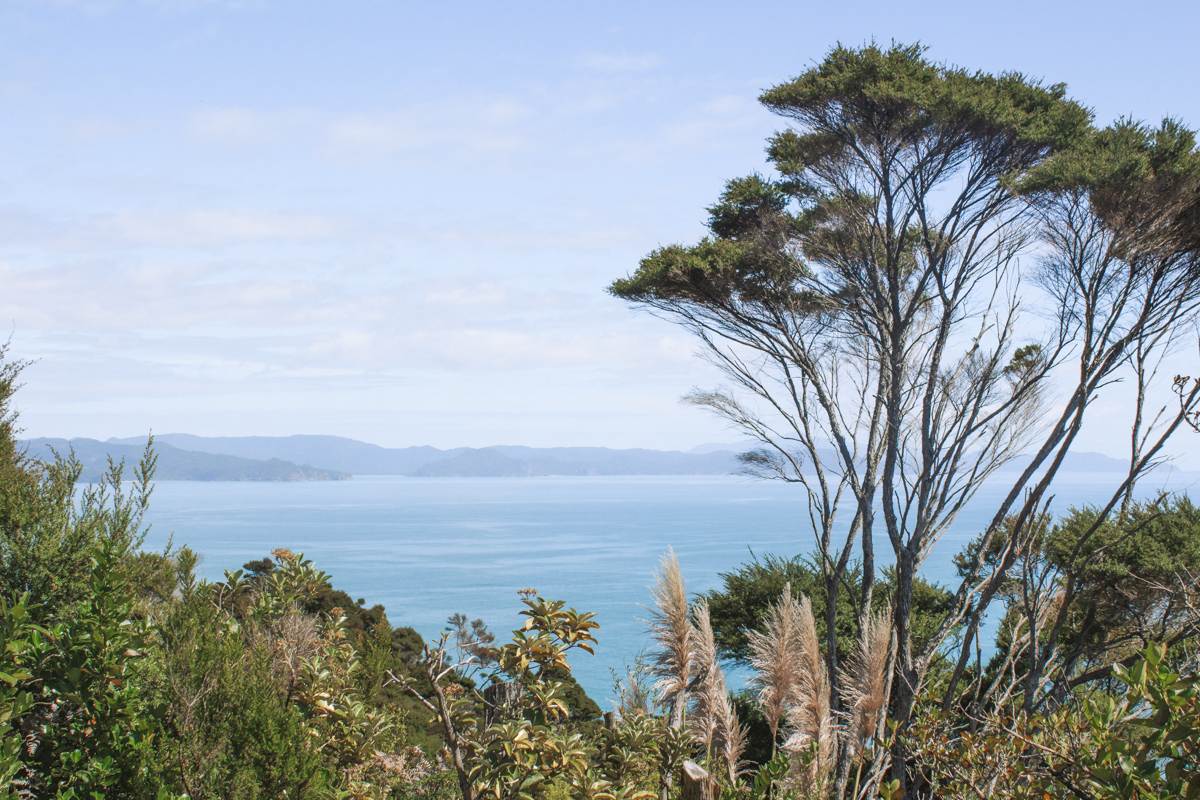 landscape view of Coromandel from Black Jack Road heading to Opito Bay