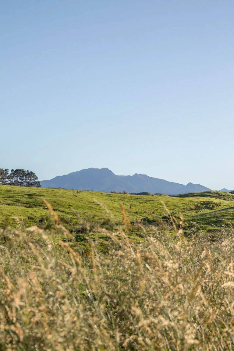 Taranaki-farmland-views