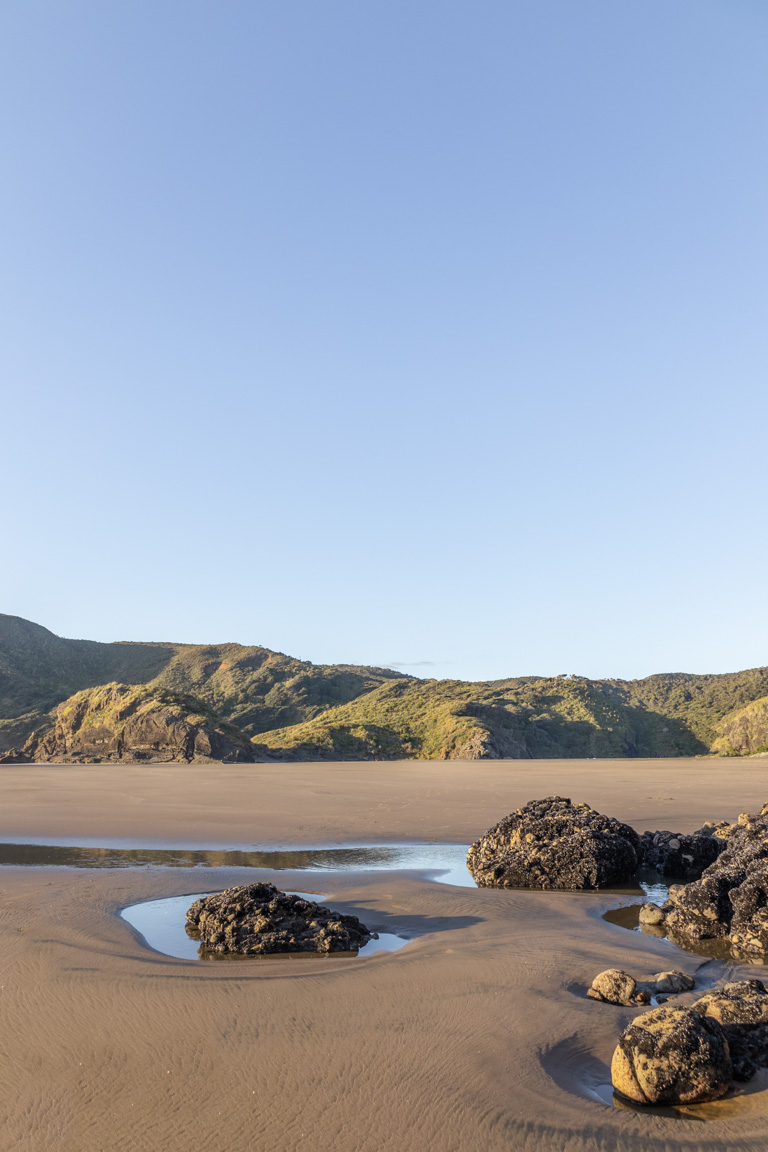 anawhata beach auckland west coast