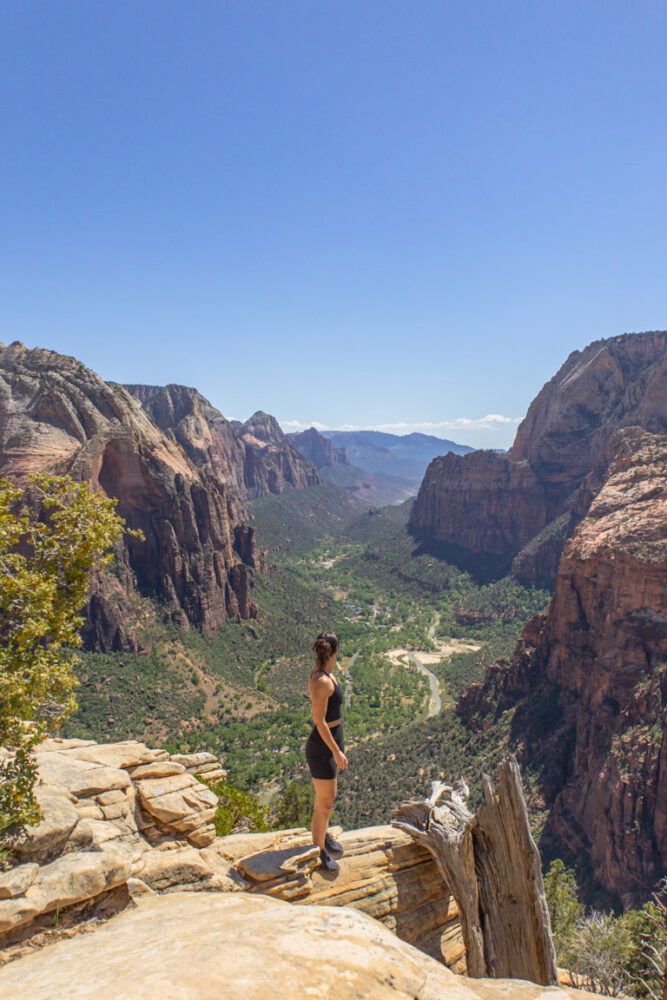 Read more about the article TIPS FOR HIKING ANGELS LANDING: AN ULTIMATE TRAIL GUIDE