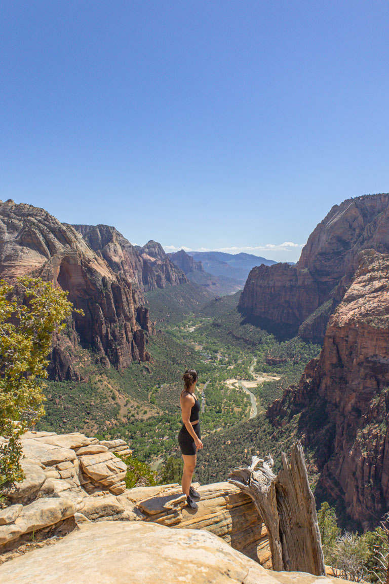 angels landing hike summit lookout