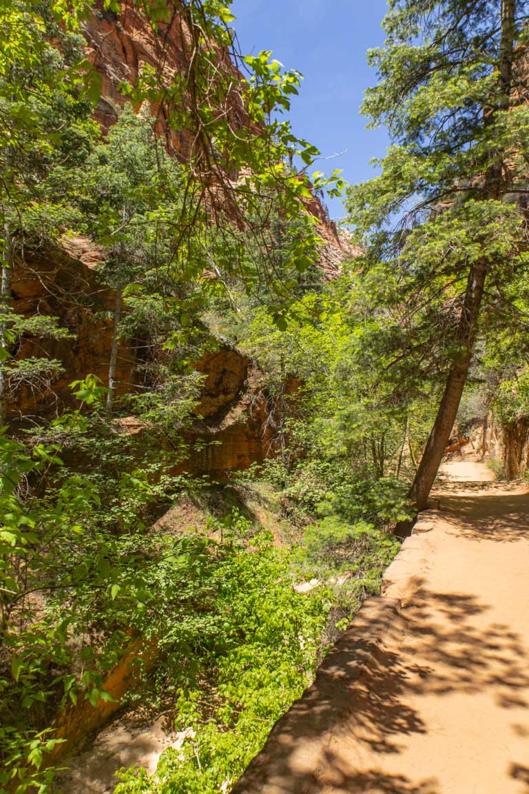 angels landing trail