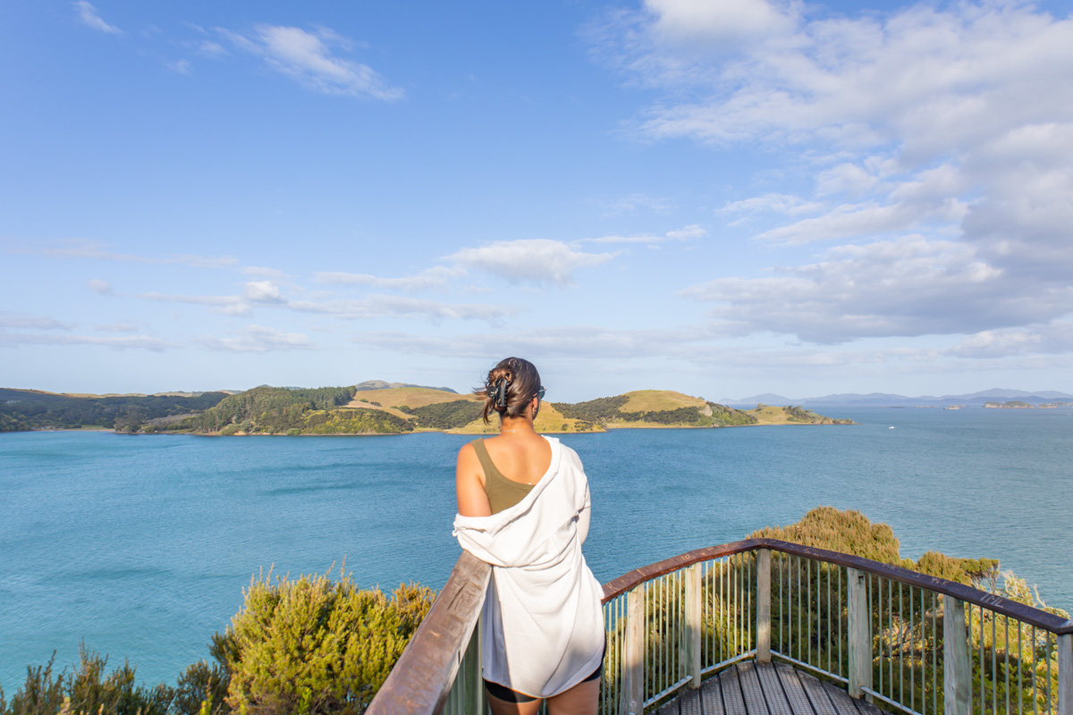 bay of islands photography opito bay walk in northland