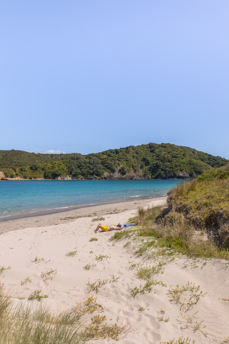 bay of islands summer