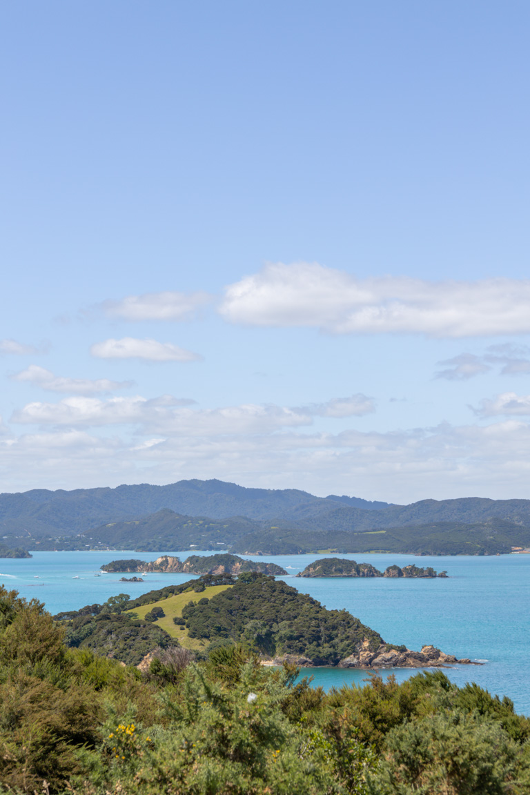 things to do in the bay of islands new zealand waewaetorea island