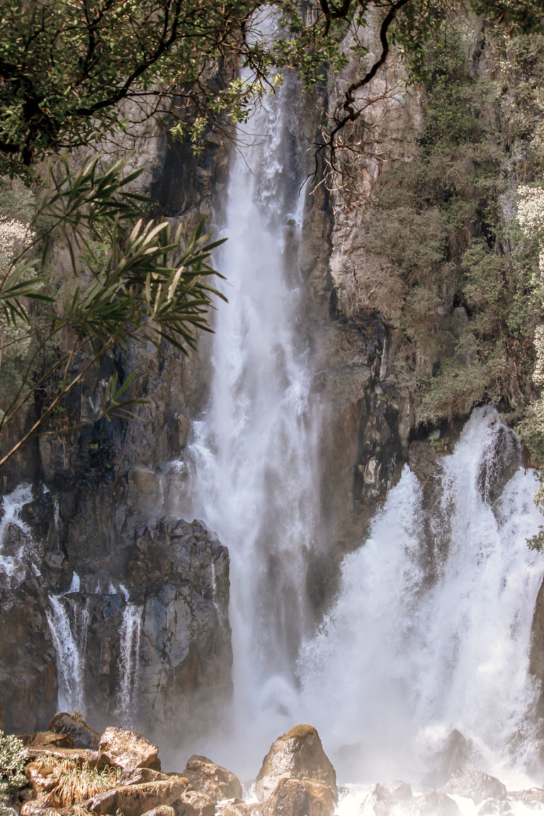 bay of plenty new zealand waterfall trail