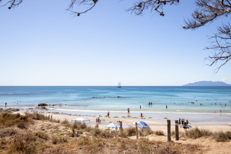 beach goers auckland summer