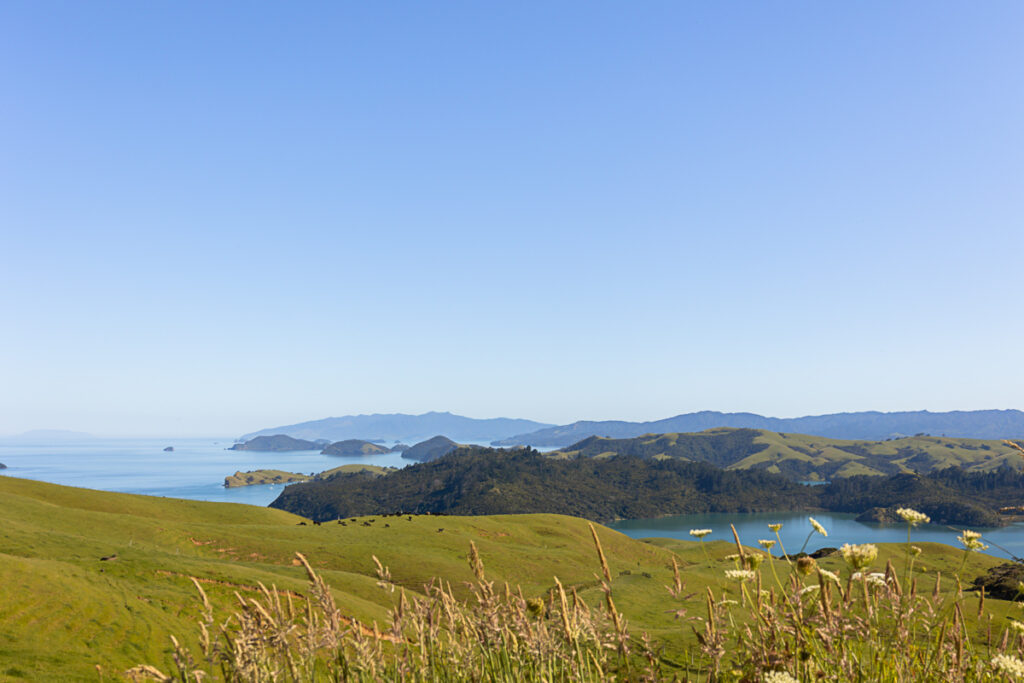 Coromandel Ranges Ultimate Guide to 10 of the Best Beaches in the Coromandel - I AM CASEY LEE