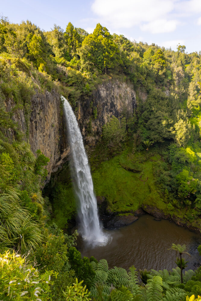 Read more about the article 12 Epic New Zealand Hikes for Beginners: North Island Edition