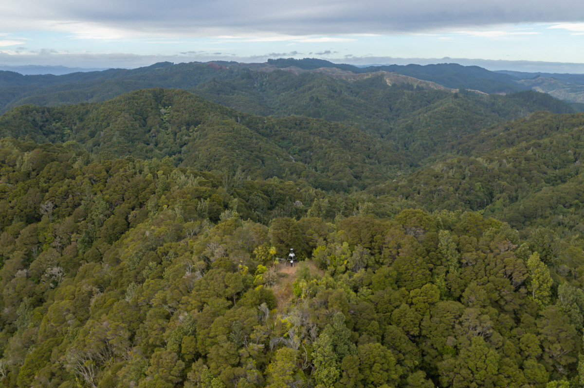 drone view bay of plenty latham track