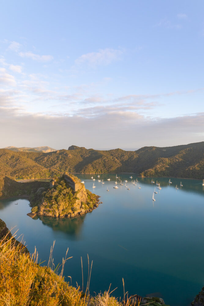 Read more about the article Dukes Nose Lookout: A Hiking Guide to this Northland Gem (2024)