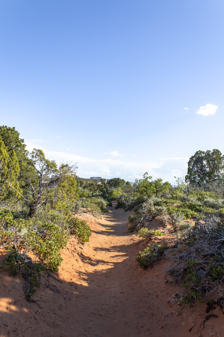 east mesa trail