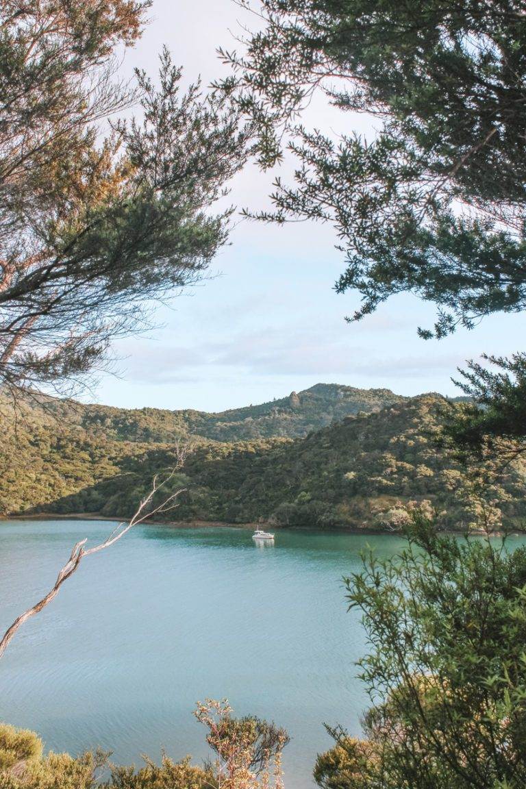 harbour view from dukes nose lookout hike