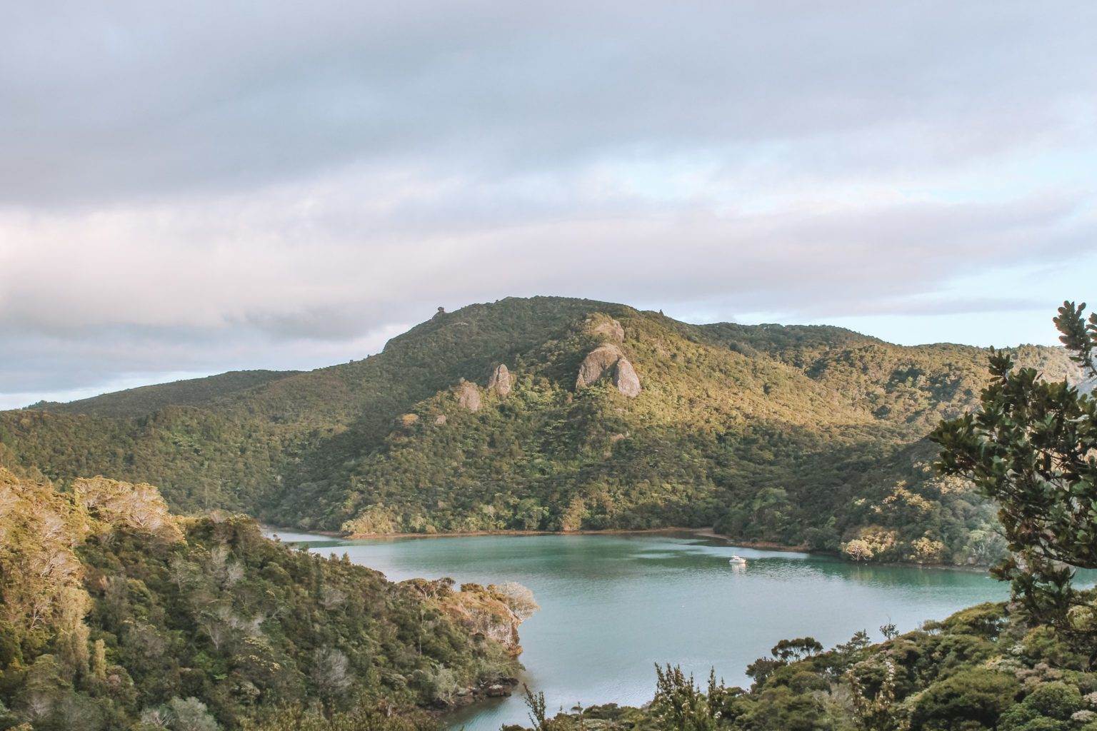 landscape harbour views on dukes nose lookout hike