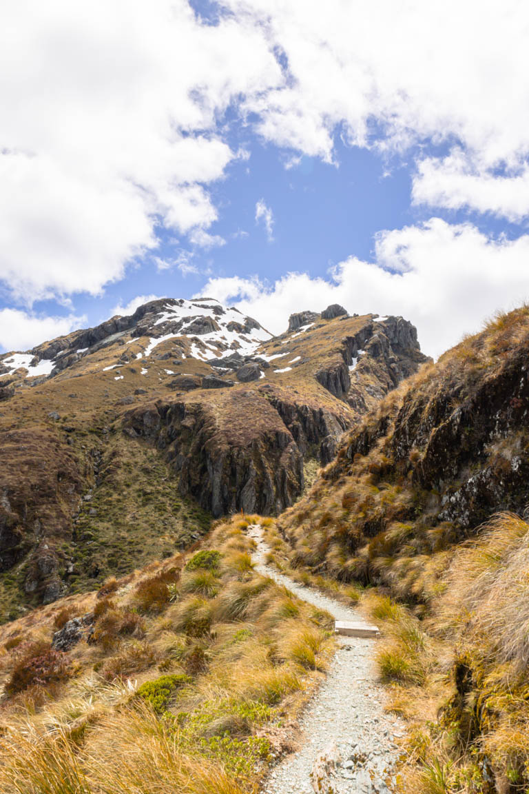 hiking routeburn trail