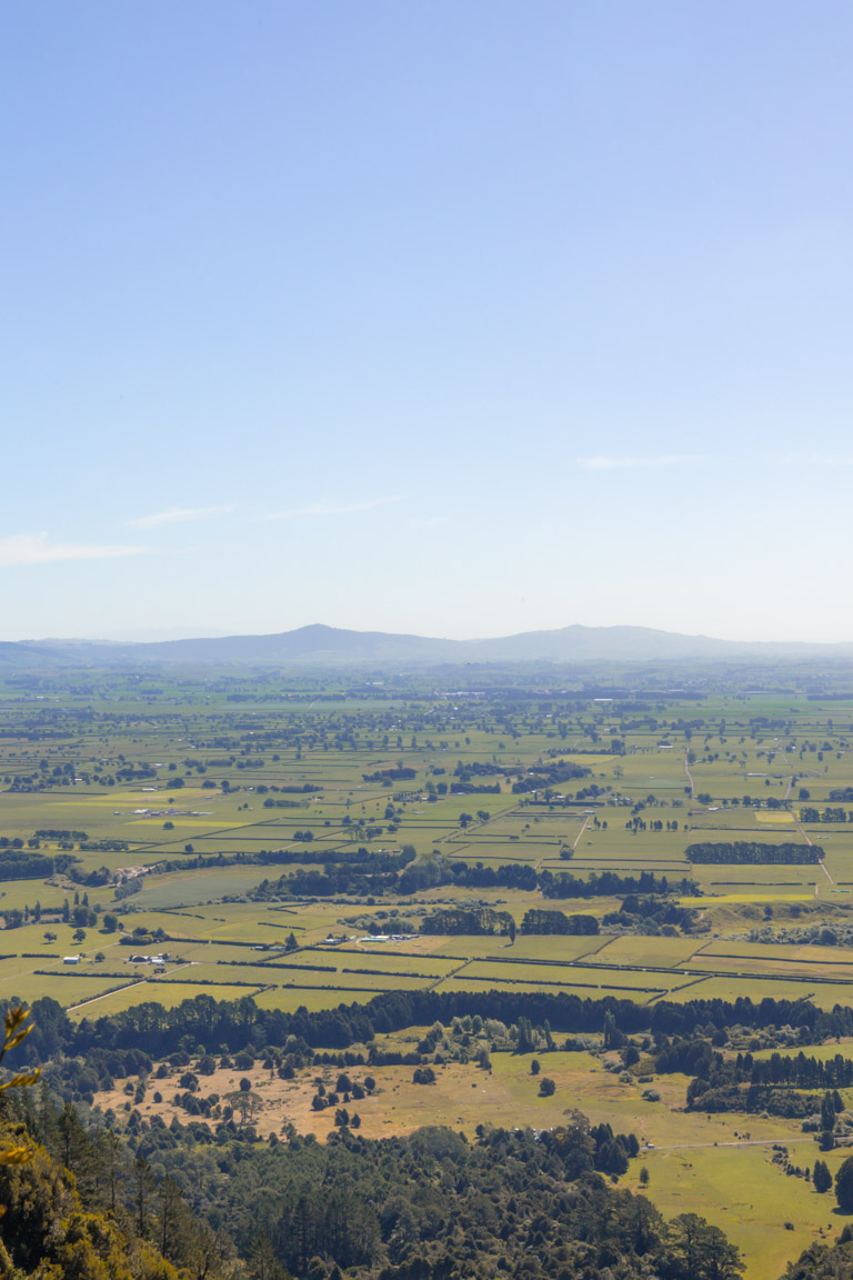 incredible wairere falls waikato landscape