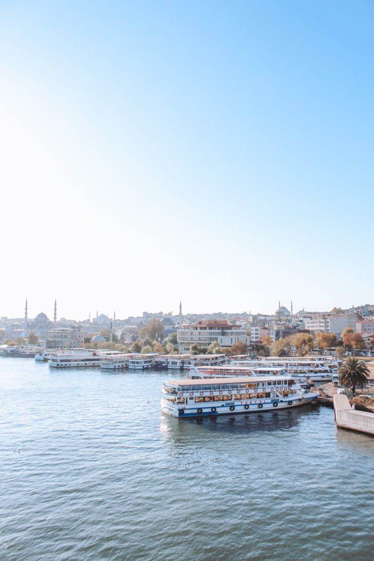 view of istanbul and boats docked