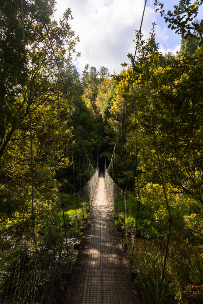 Read more about the article Hiking the Historic Karangahake Gorge Loop: A Complete Guide