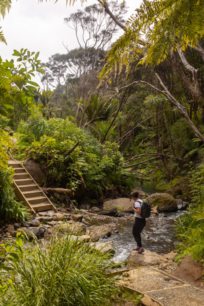 Read more about the article Kitekite Falls Track: Tips for the Ultimate Auckland Day-Trip