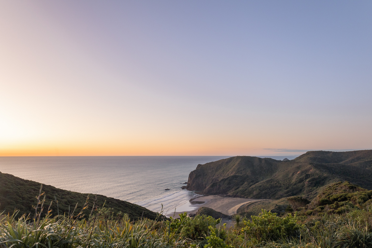 landscape west coast auckland sunset