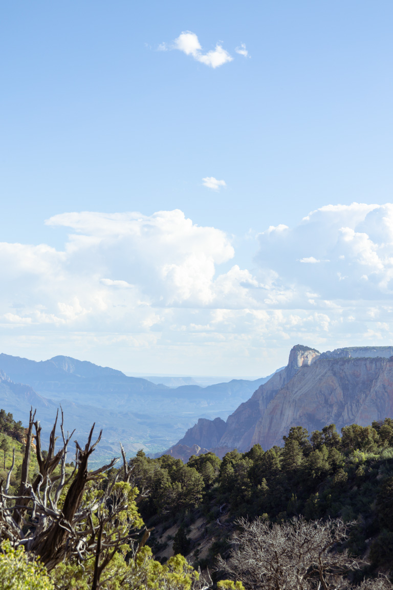 landscape zion national park east mesa trail