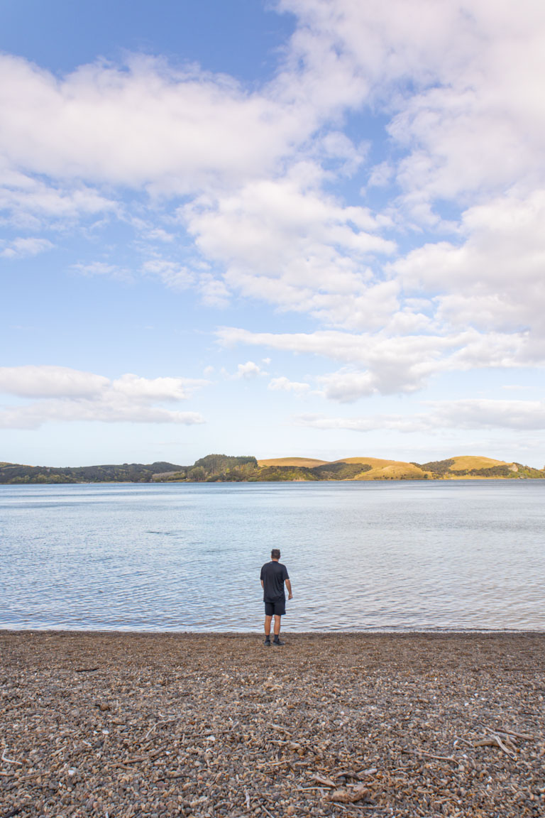 lizard bay beach bay of islands