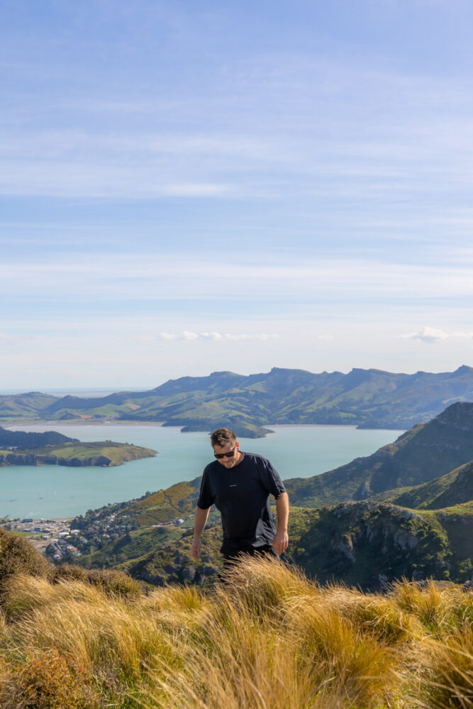 Read more about the article Mount Pleasant Loop Trail: The Ultimate Hiking Guide