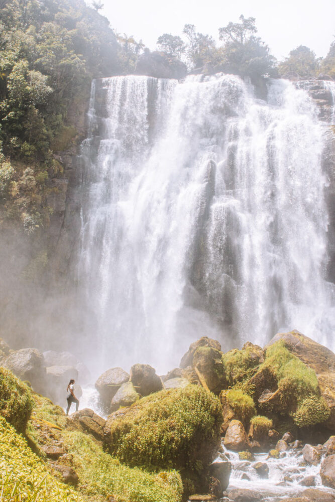 Read more about the article MAROKOPA FALLS: A NEW ZEALAND MUST-SEE IN WAITOMO