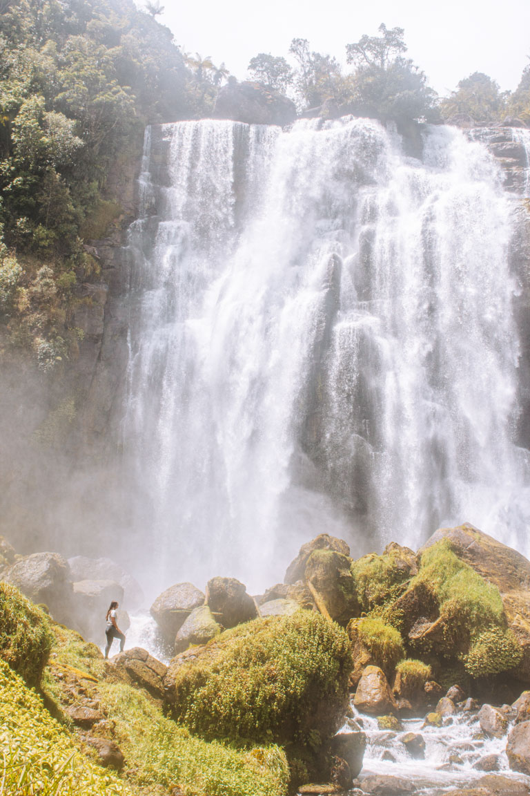 marokopa falls waitomo