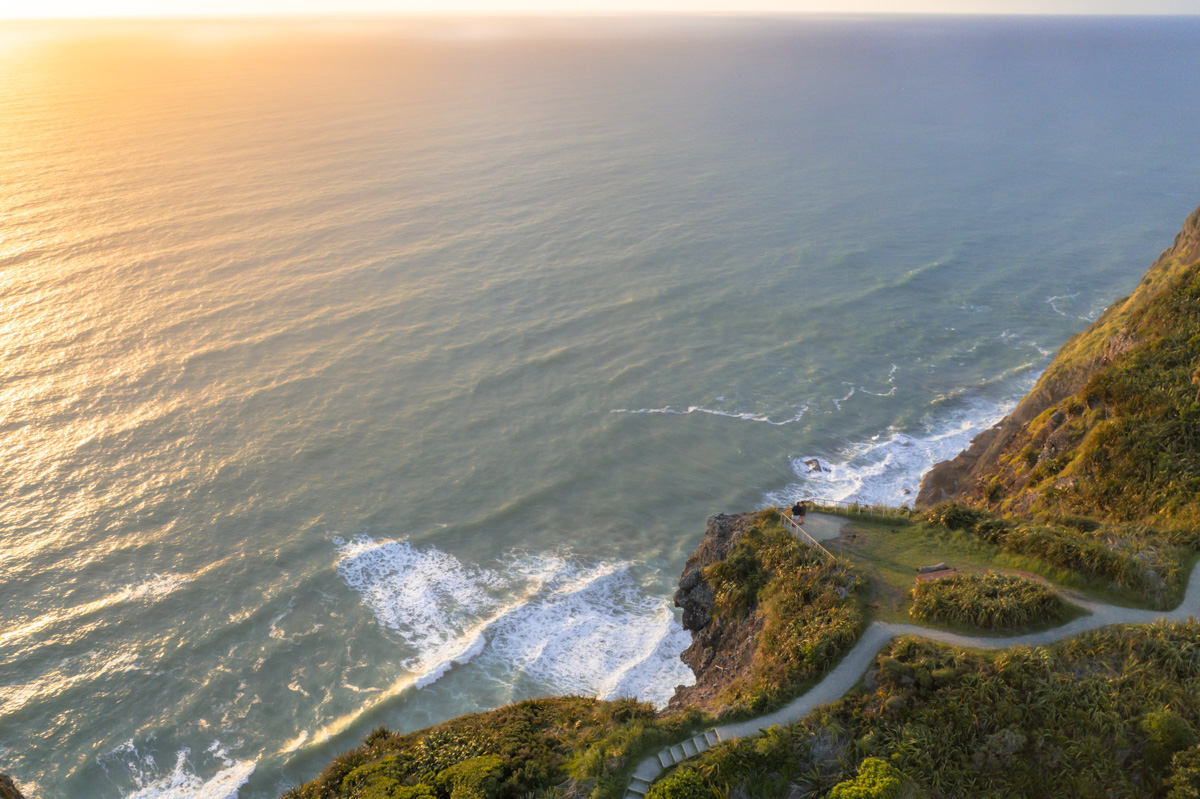 Mercer Loop Track Mercer Bay Loop: One of Auckland's Most Iconic Walks - I AM CASEY LEE