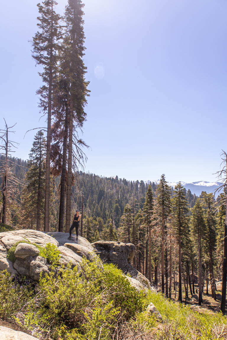 essential photography gear for hiking national park lookout