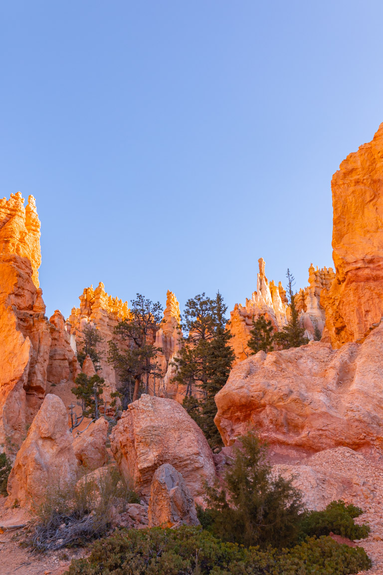 navajo loop trail hoodoos