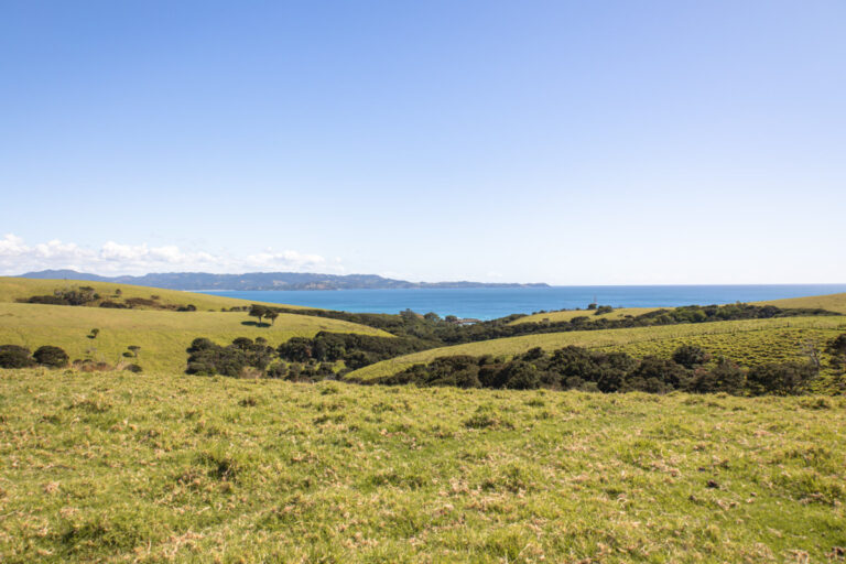 new zealand farmland on tāwharanui point via north and south coast tracks