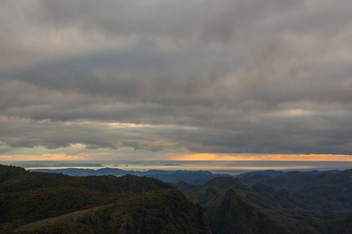 new zealand landscape waikato coromandel