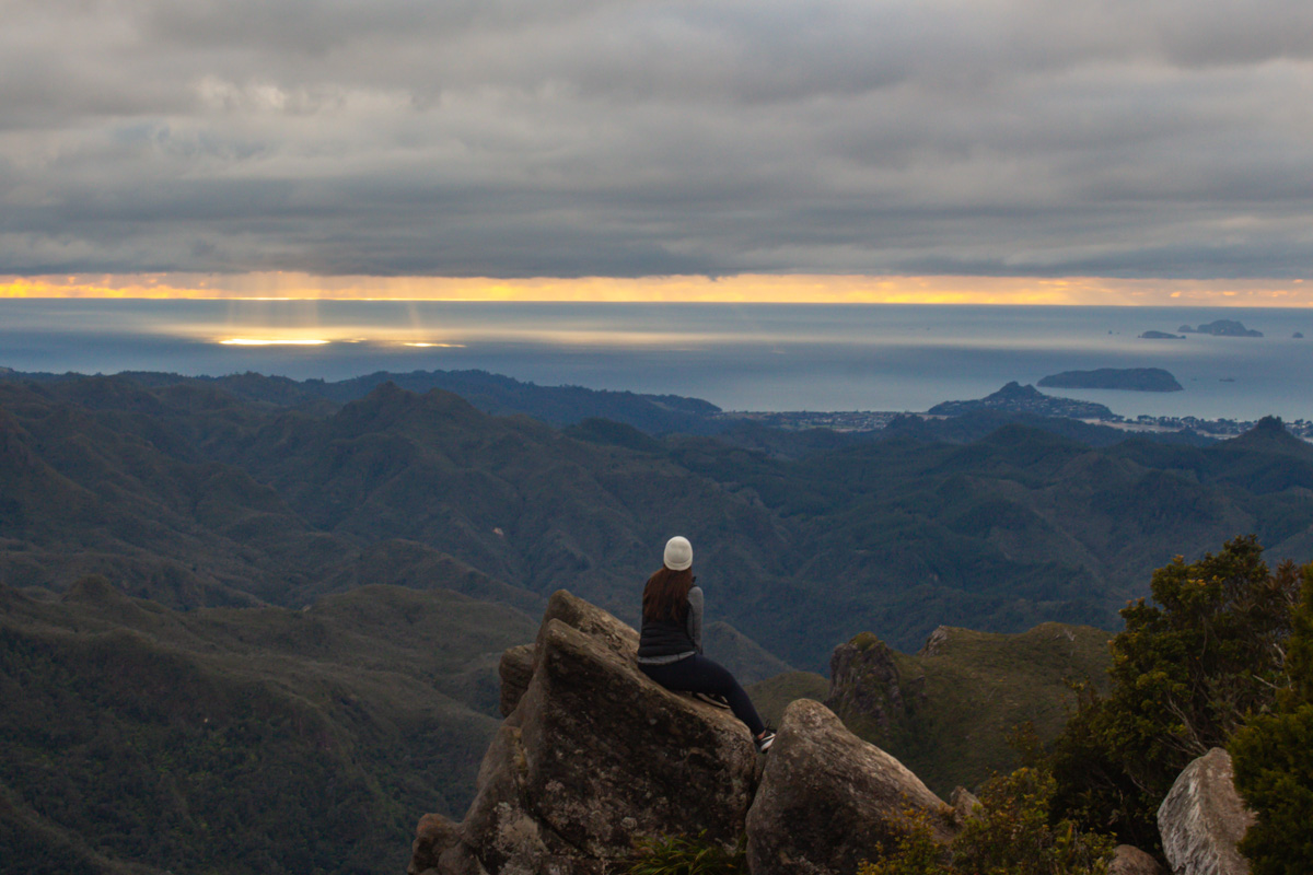 new zealand lookout