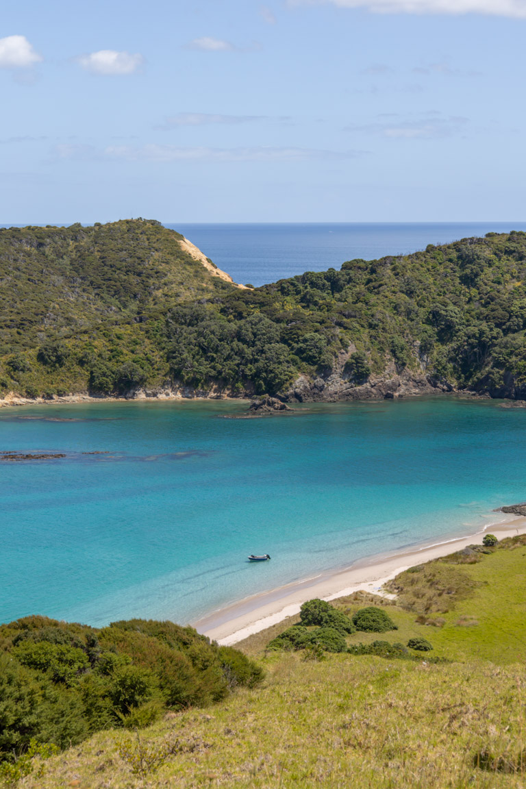 things to do in the bay of islands new zealand summer boat bay of