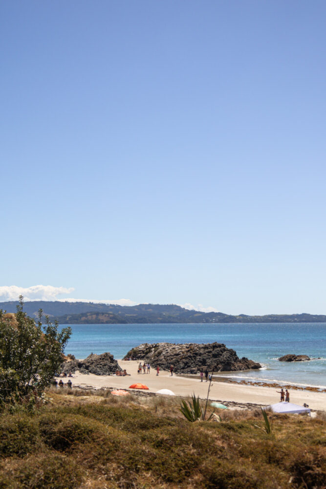 Read more about the article 18 Unmissable New Zealand Summer Bucket List Experiences