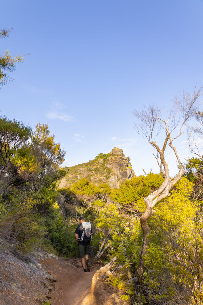 northland hiking track