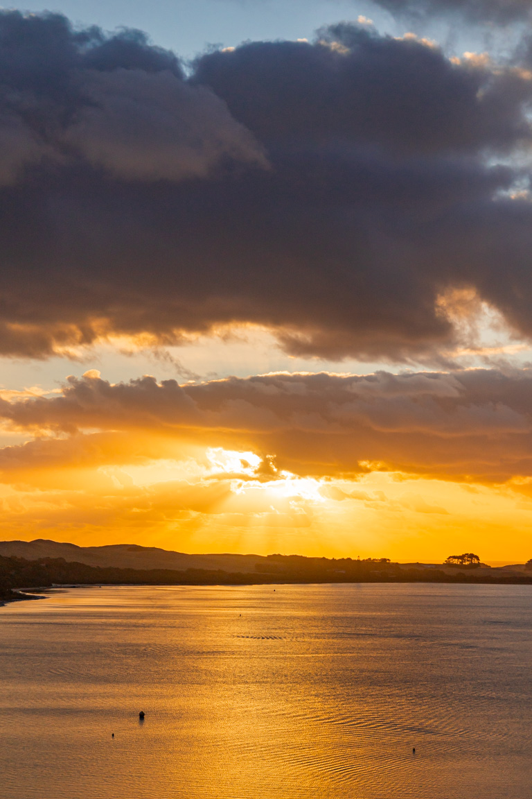 northland new zealand golden sunset