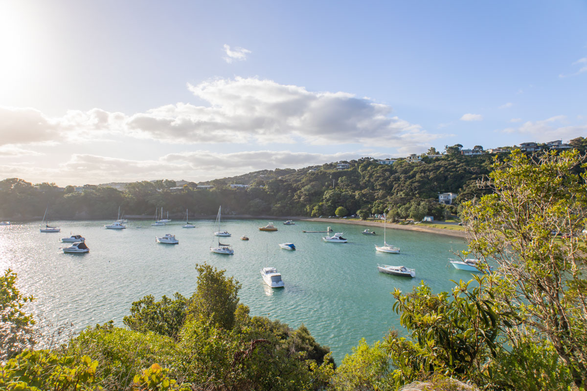 opito bay walk in northland new zealand