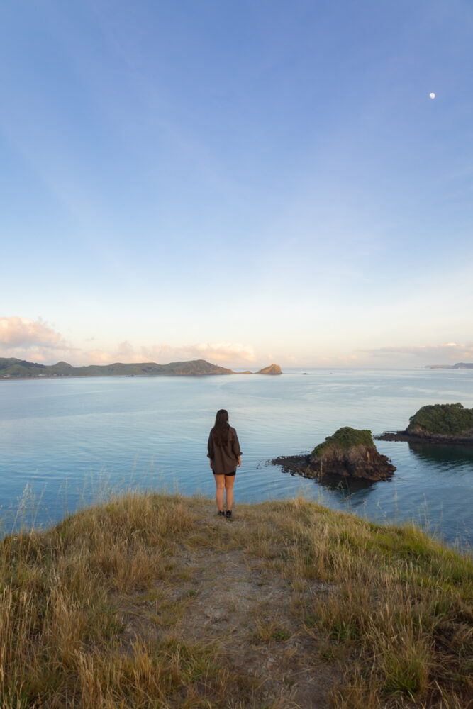 Read more about the article Discover Opito Bay Pā in the Coromandel: A Guide