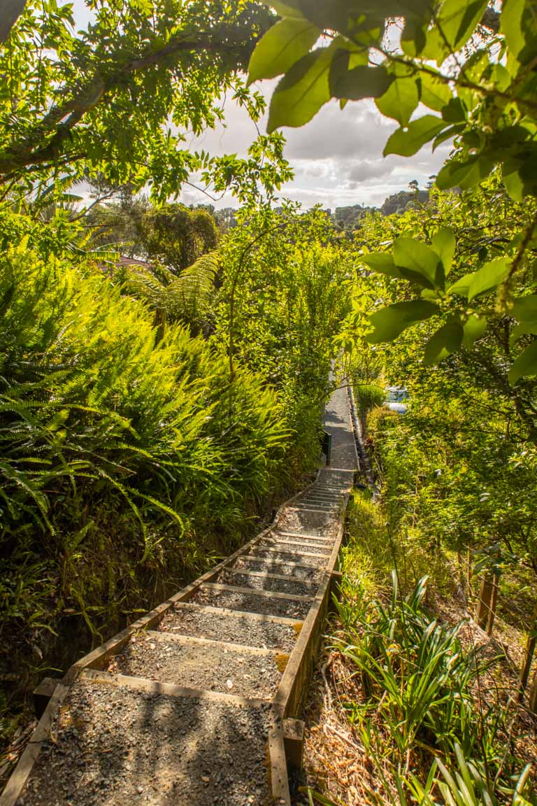 opito bay walk in northland trail