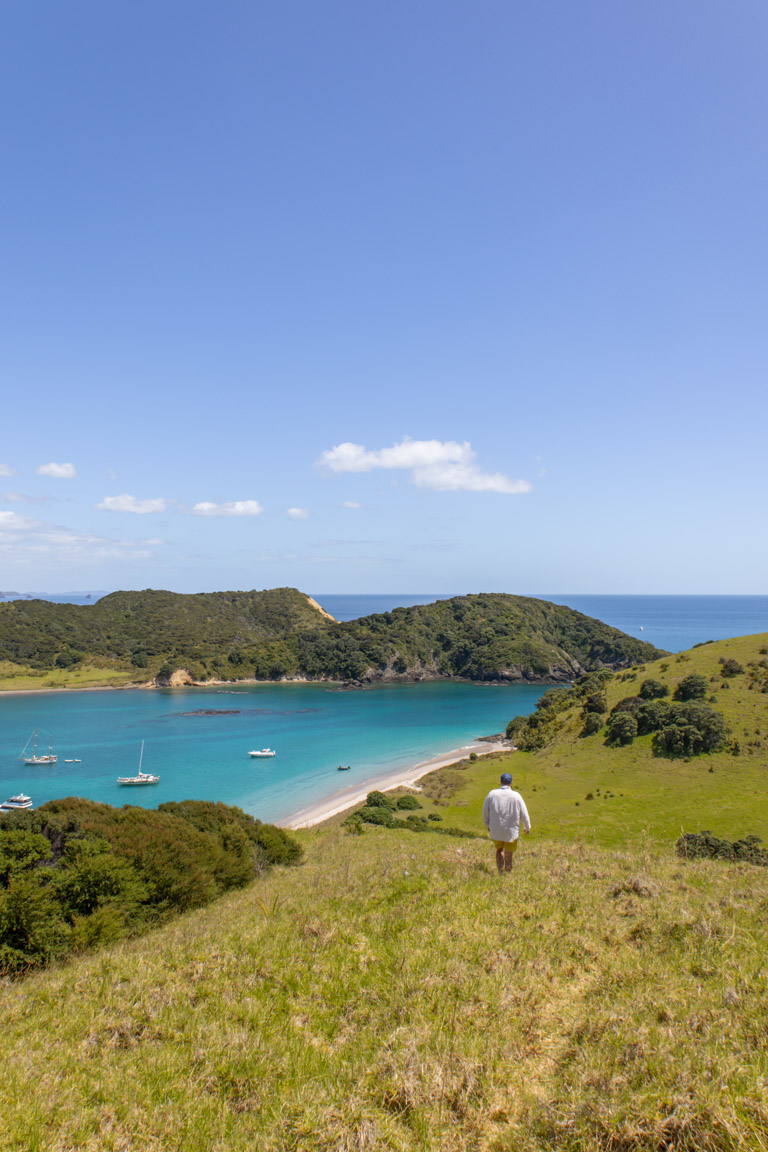 path to top waewaetorea island