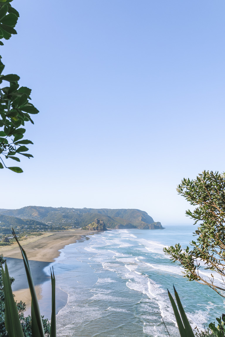 piha beach te waha point lookout