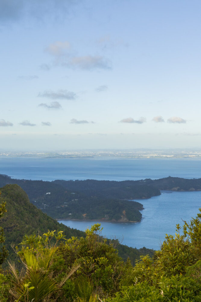Read more about the article Discover 13 Places in Auckland to Capture Golden Hour Magic
