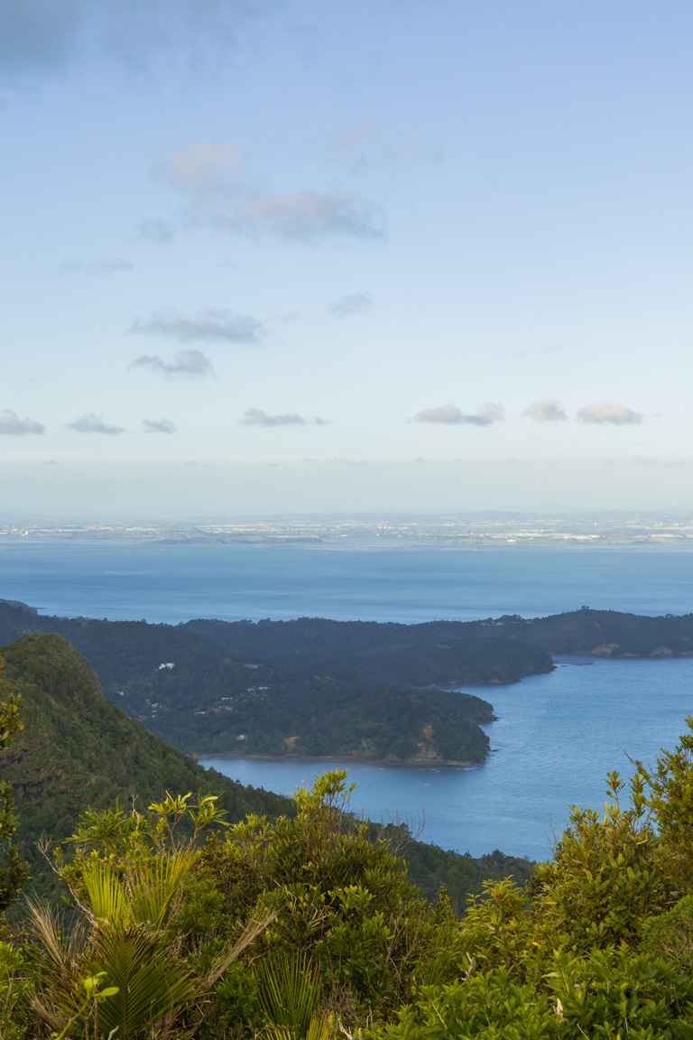 places in auckland to capture golden hour waitākere ranges lookout