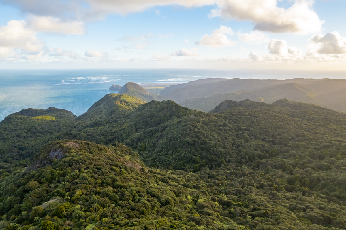places in auckland to capture golden hour